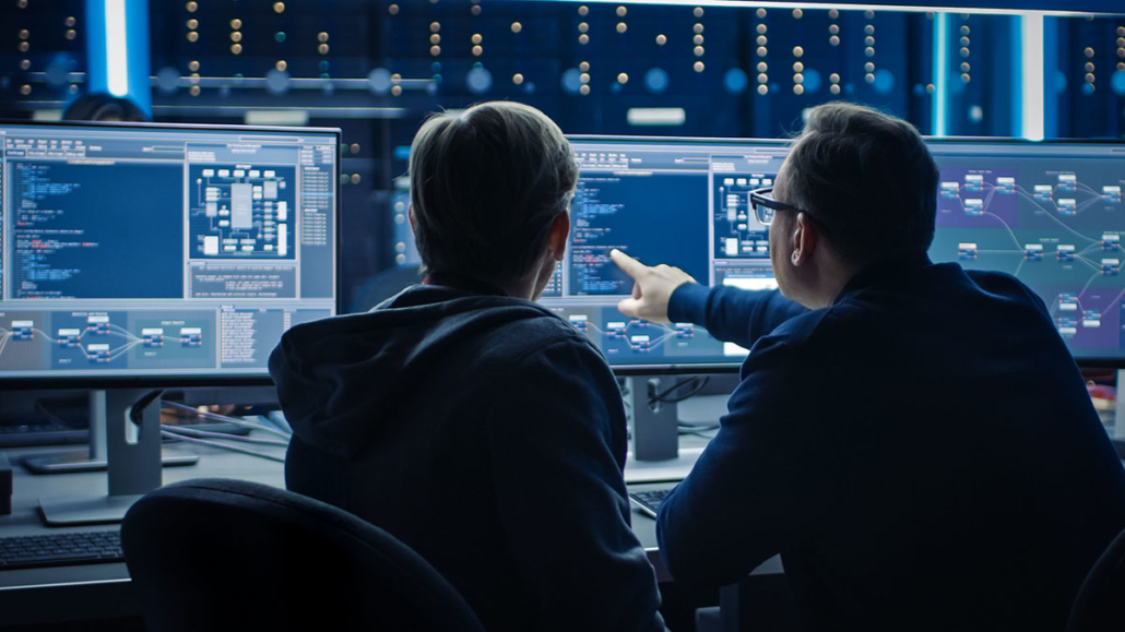 IT Professionals Performing Cybersecurity Operations