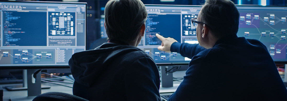 IT Professionals Performing Cybersecurity Operations