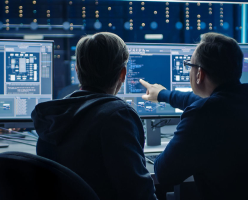 IT Professionals Performing Cybersecurity Operations